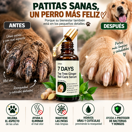 PATITAS SANAS